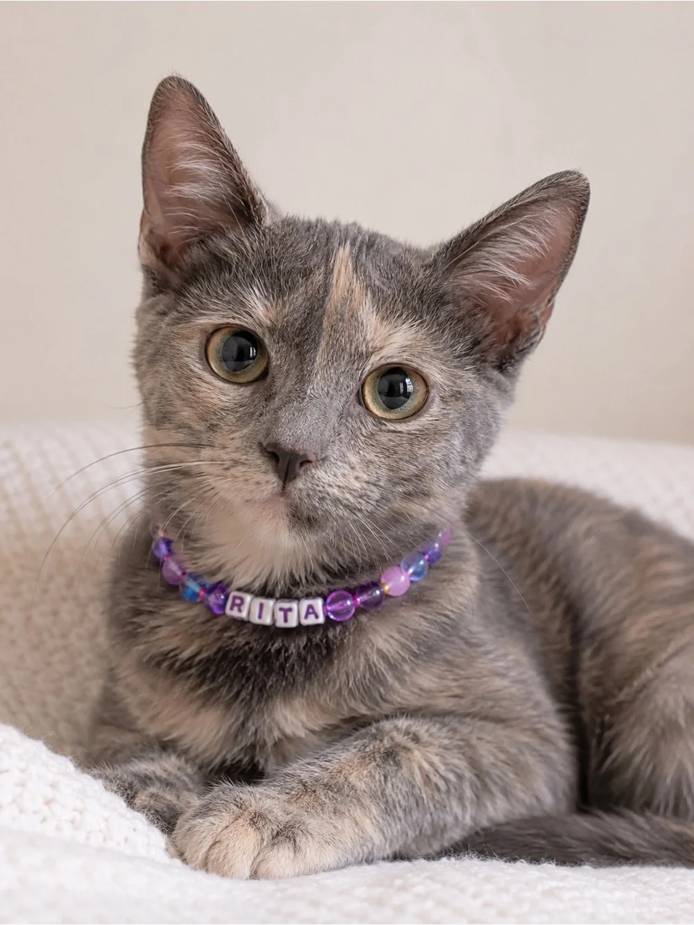 Rita Purple Beaded Stretch Cat Collar 9”